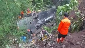 Bus Rombongan SD Masuk Jurang, Begini Kondisinya