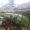 Puting beliung Curugkembar