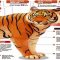 Harimau-Jawa