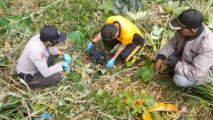 Mayat Bayi Gegerkan Warga Kadupandak Cianjur, Ditemukan Tergeletak dalam Dus Air Mineral