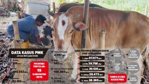 Hewan Ternak di Sukabumi  Mulai Divaksin
