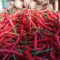 Cabai Merah Keriting