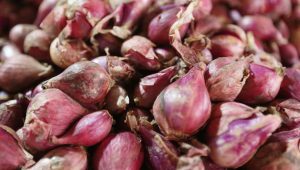 Nyeri Sendi, Ini Bahan Alami yang Perlu Dicoba Untuk Mengatasinya