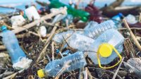 Sampah plastik di perairan laut
