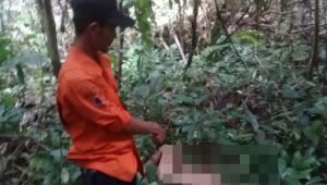Kakek di Cicantanyan Sukabumi Ditemukan Meninggal di Kebun, Begini Kondisinya