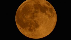 Catat, Hari ini Ada Fenomena Alam Bulan Purnama Rusa Super, Ini Jadwalnya