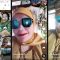 Sebuah video tiktok dari akun @elshanita