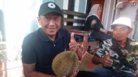Durian Gandaria Cikakak