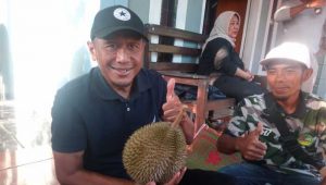 Durian Gandaria Cikakak Sukabumi, Bikin Pelatih Bola Rahmad Darmawan Ketagihan