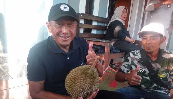 Durian Gandaria Cikakak