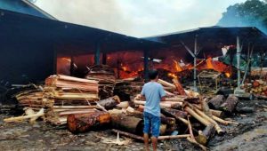 Pabrik Triplek di Parakanlima Sukabumi Membara