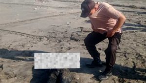 Mengenaskan, Mayat di Pantai Agrabinta Cianjur Tanpa Kepala dan Tangan