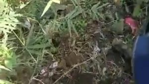 Warga Bogor Geger Temuan Mayat Terikat di Bawah Jembatan Sukamakmur
