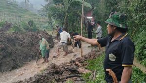 Pergerakan Tanah di Cibeber Cianjur, Rumah dan Sawah Terdampak