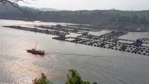 Indahnya Waduk Jangari Cianjur