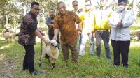Bupati Sukabumi Marwan Hamami Hadiri Pembagian 120 Hewan Kurban di Cikembar