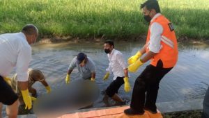 Jasad Pria Terlilit Lakban Ditemukan di Sawah, Begini Ciri-cirinya