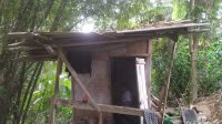Petugas Kecamatan Cibadak, saat meninjau lokasi gubuk berukuran 2x2 meter yang dijadikan tempat tinggal Ipin