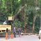 Suasana saat petugas lakukan pemangkasan pohon di wilayah Palabuhanratu.