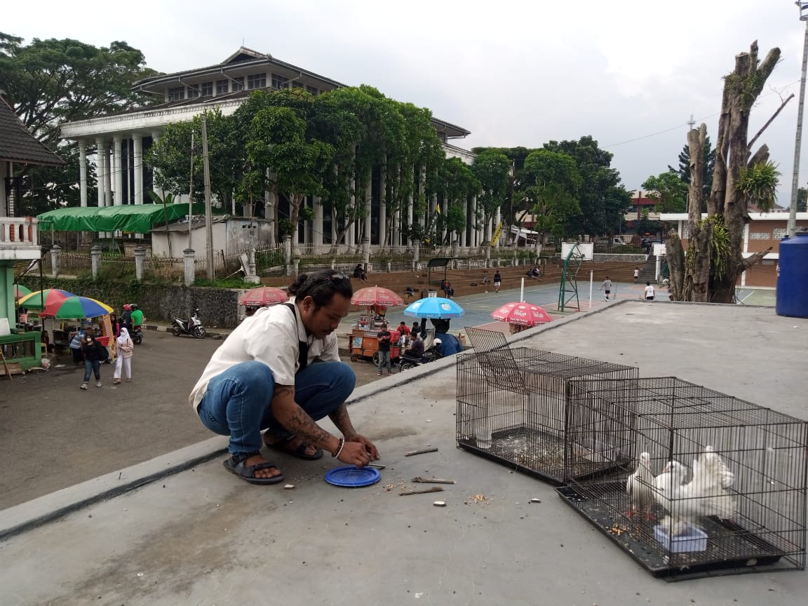 Warga Kota Sukabumi saat membuat jebakan untuk menjerat Burung Merpati