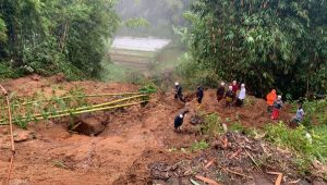 Longsor Sindangjaya Cianjur, Puluhan Jenazah Tergerus, Warga Rasakan Nuansa Horor