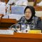 Mensos Tri Rismaharini