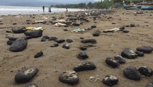 Sampah Batu Bara Kotori Pantai Cipatuguran Palabuhanratu Sukabumi, Warga : Wisatawan Sepi, Laut Tercemar