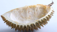 Kulit durian ternyata memiliki manfaat sebagai salah satu cara mengusir tikus dari rumah.