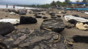 Sampah Batu Bara Cemari Lingkungan, Dewan Minta Pemerintah Sentil ke PLTU