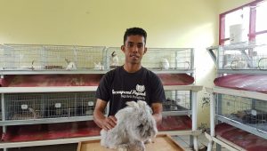 Wow! Budidaya Kelinci Hias di Sukaraja Sukabumi Hadirkan Cuan Jutaan Rupiah