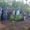 Jampangkulon