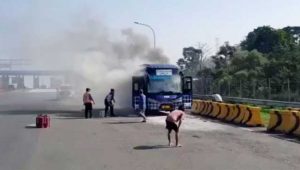 Bus Palabuhanratu-Bogor Terbakar di Tol Ciawi, Penumpang Berlarian