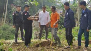 Sambut Hari Jadi Kabupaten Sukabumi ke-152, LSM Dampal Jurig Tanam 1520 Pohon