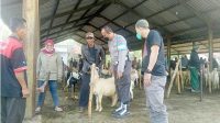 Jajaran Polsek Citamiang Sukabumi Blusukan ke Pasar Hewan, Pastikan Tak Ada Hewan Terpapar PMK