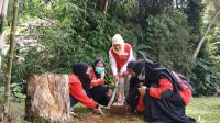Rayakan HUT ke-77 RI, PMI Kota Sukabumi Tanam 77 Bibit Pohon di 7 Kecamatan