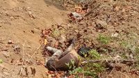 Penemuan mayat pria yang sudah membusuk di ruas jalan Sabuk Geopark Loji - Palangpang