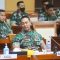 Panglima TNI Jenderal TNI Andika Perkasa