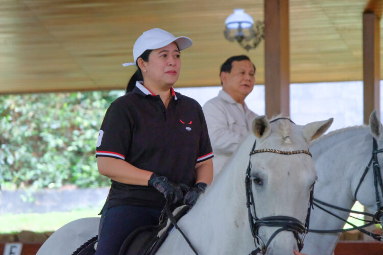 Ketua DPR RI sekaligus Ketua DPP PDI Perjuangan