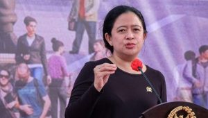 Data Bocor, Puan Desak Pemerintah Audit Keamanan Siber