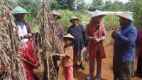 Tim Asesor Dewan Juri One Village One Story Jawa Barat