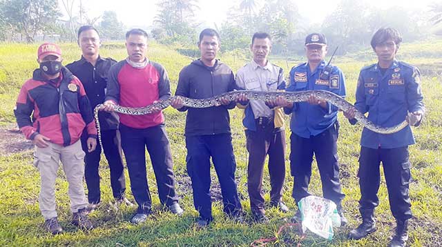 Damkar Kota Sukabumi
