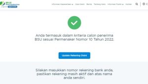 Ini Cara Cek BSU Melalui Laman BPJS Ketenagakerjaan