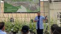 Sekolah Vokasi IPB Sukabumi Panen Golden Melon Hidroponik 
