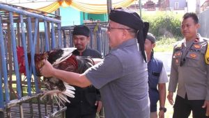 Kontes Ayam Pelung di Sukabumi Harus Jadi Pengungkit Ekonomi Masyarakat