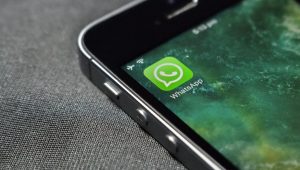 Cara Hilangkan Status Online di WhatsApp, Sangat Mudah, Yuk Coba!