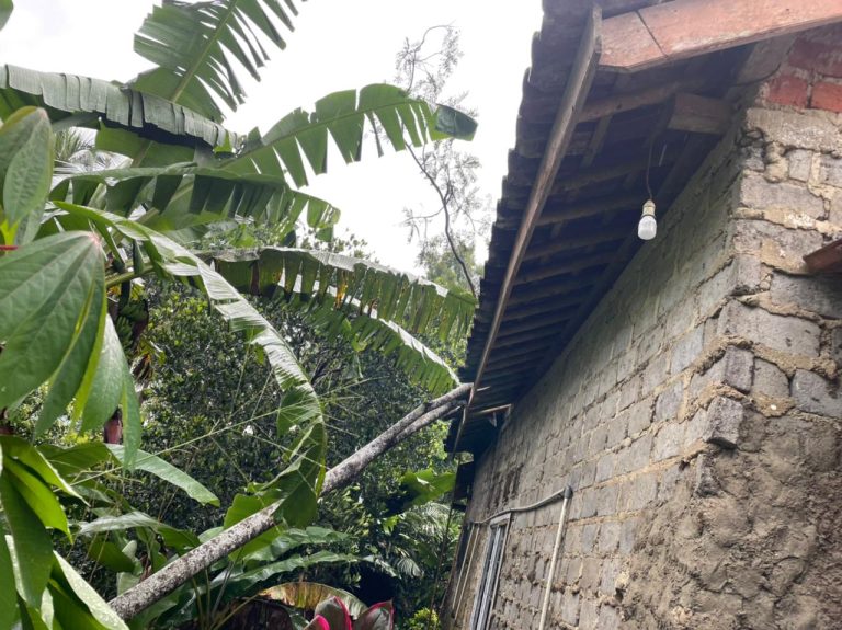 Rumah Cicantanyan Tertimpa Pohon