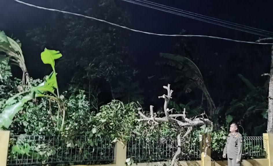 Petugas Kecamatan Cikidang saat meninjau lokasi rumah penduduk yang terdampak bencana angin puting beliung