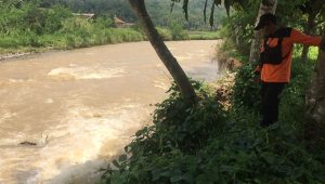 Irigasi di Citarik Palabuhanratu Jebol, 15 Hektar Sawah Teracam Gagal Panen