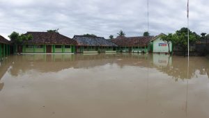 Banjir di Tegalbuleud Kabupaten Sukabumi Rendam Puluhan Rumah dan Ratusan Hektare Sawah