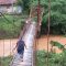 Jembatan Ciemas Sukabumi Rusak